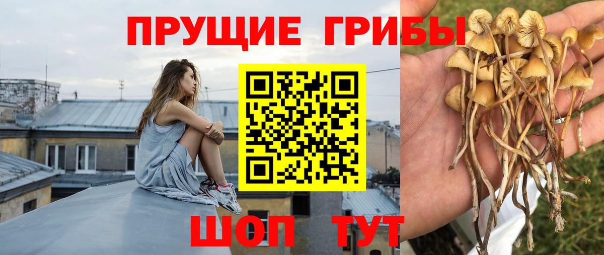 Псилоцибиновые грибы ЛСД  Вход с VPN  Ростов-на-Дону  Галлюциногенные грибы Magic Shrooms 